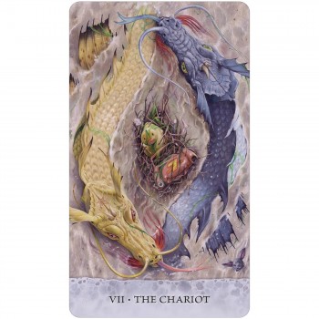 Tarot of Tides kortų kaladė US Games Systems